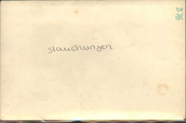 Schauspieler Paul Hörbiger – Bild 2