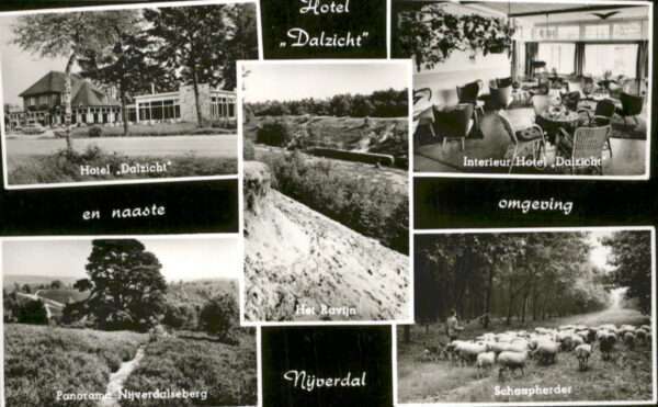 Nijverdal Hotel Dalzicht Schafe
