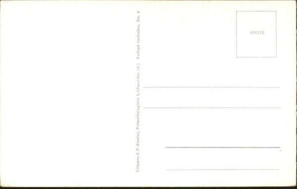 Velsen Papierfabrik Schiff – Bild 2
