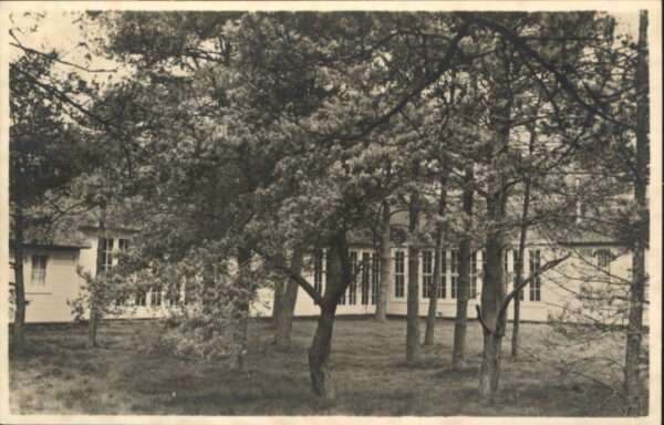 Amersfoort School