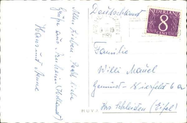 Arnhem Hertenkamp Sonsbeek Reh – Bild 2