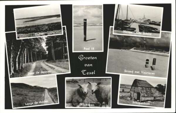 Texel Strand Haven Schapenboet Schapen Paal