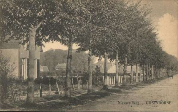 Oostvoorne