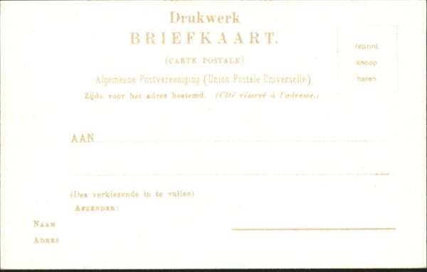 Schiedam Kühe – Bild 2