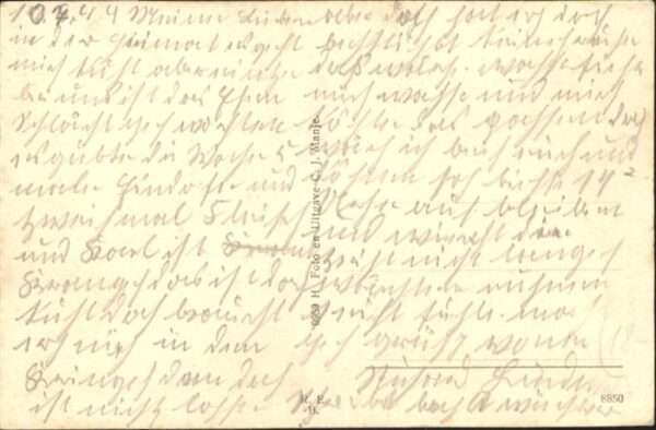 Hollum Kerk Hund – Bild 2