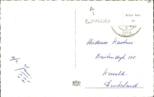 Ede Netherlands Hund Schafe Kirche – Bild 2