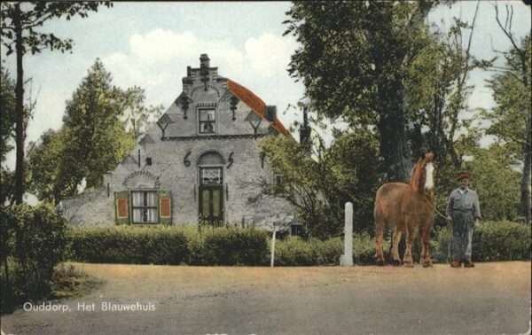 Ouddorp Het Blauwehuis Pferd