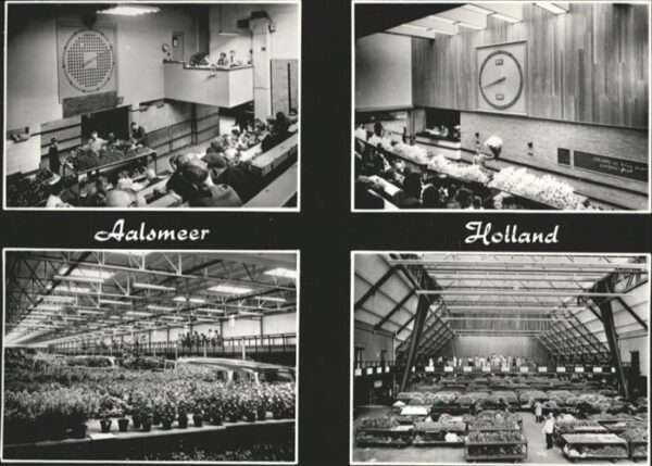 Aalsmeer