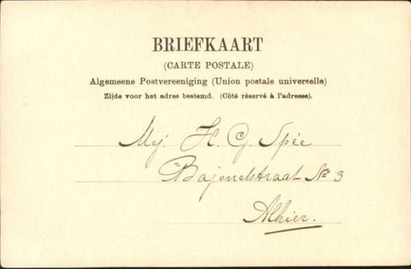 Rotterdam Plan Blume – Bild 2