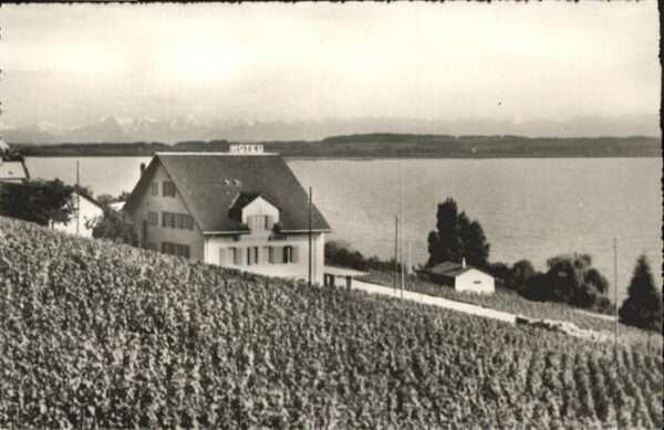 Neuchatel NE Hotel des Platanes