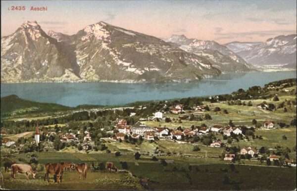 Aeschi Spiez Kühe