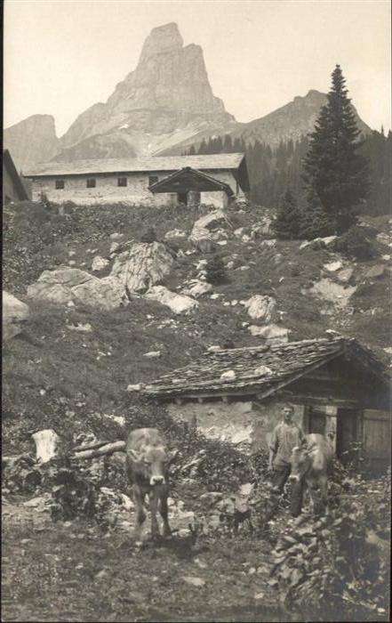 Braunwald GL