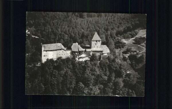 Stein Rhein Burg Hohenklingen Fliegeraufnahme