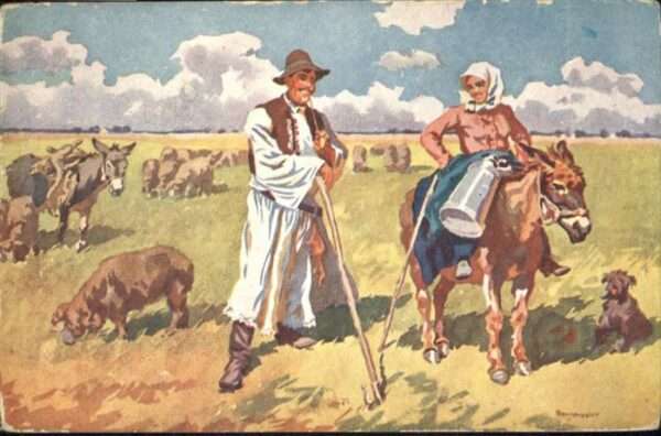 Landwirtschaft Bauern Ungarn