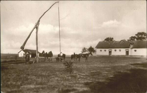 Landwirtschaft Ungarn Tränke