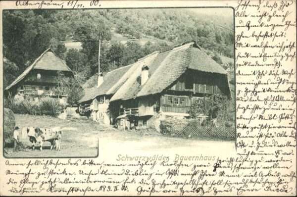 Schwarzwaldhaeuser Bauernhaus