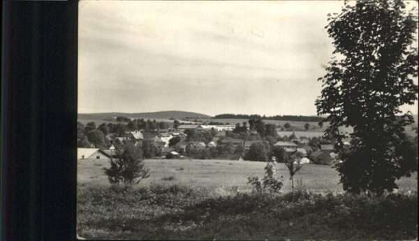 Polnicka