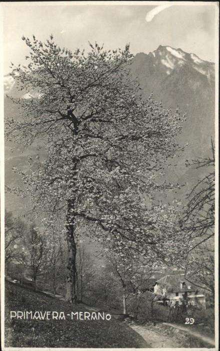 Merano Meran Primavera Frühling