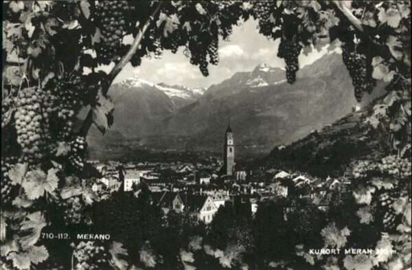 Meran Merano Kurort Weintrauben