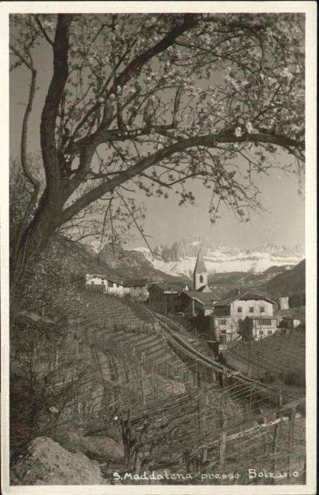 Bozen Suedtirol S. Maddalena
