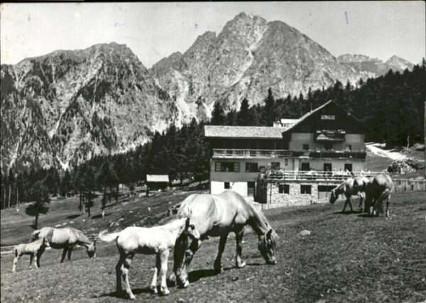 Hafling Pension Cafe Restaurant Viktioria Alpen