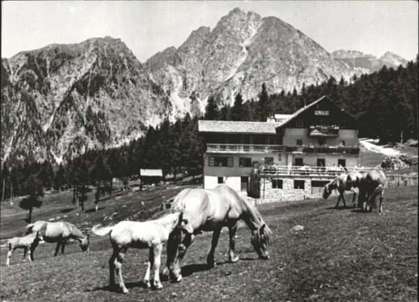 Hafling Albergo Rosa Alpina Gasthof Alpenrose F