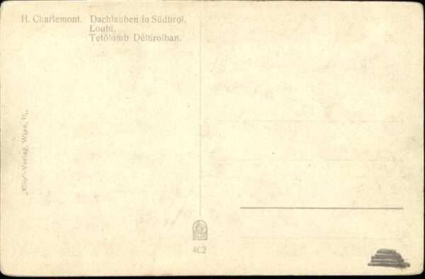 Dachlauben Südtirol – Bild 2