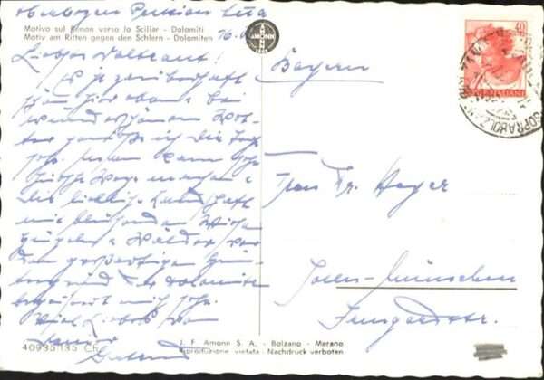 Renon Ritten Schafe – Bild 2