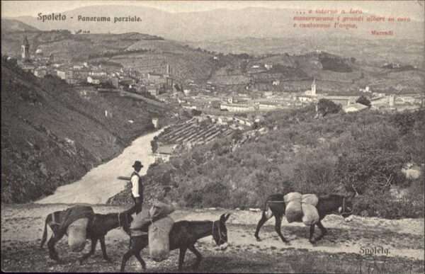 Spoleta Esel