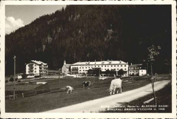 Pusteria Dolomiti Kühe Minerali Braies Vecchia