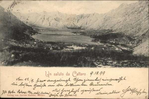 Cattaro
