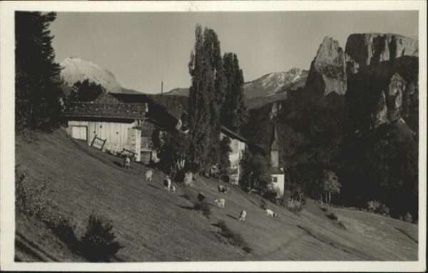 Bolzano Kühe