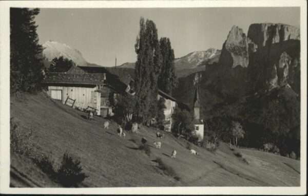 Bolzano Kühe