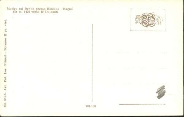 Bolzano Kühe – Bild 2