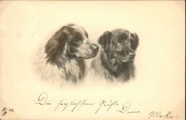 Hunde