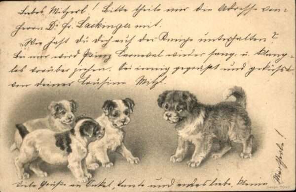 Hunde Prägedruckkarte