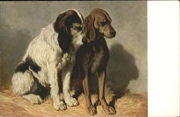 Hunde Jagdhunde Künstler A. de Dreux