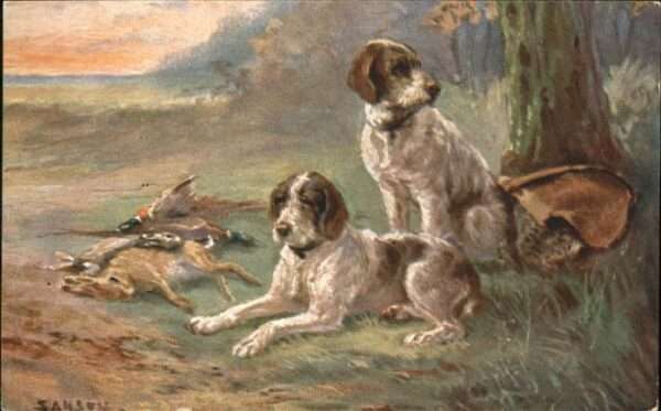 Hunde Jagd