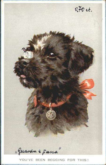 Hunde