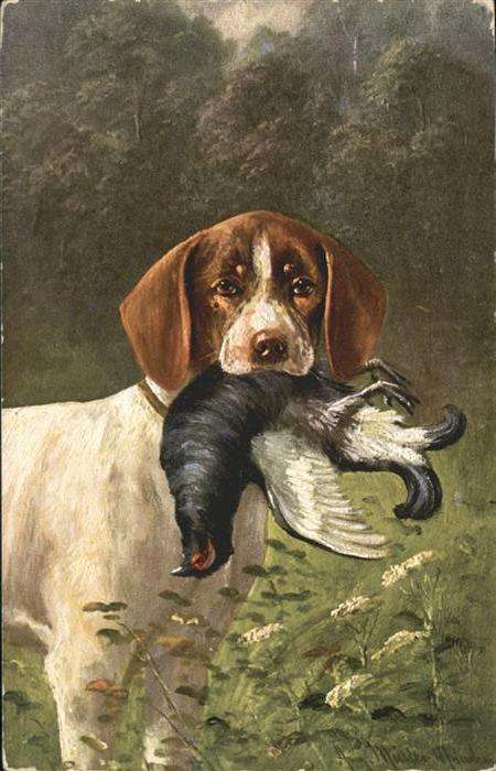 Hunde Jagd Vogel
