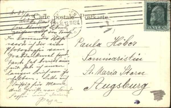 Hunde Küken – Bild 2
