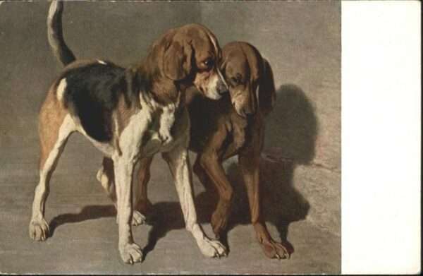 Hunde Künstler A. de Dreux Jagdhunde
