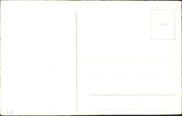 Hunde – Bild 2