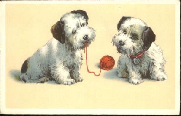 Hunde