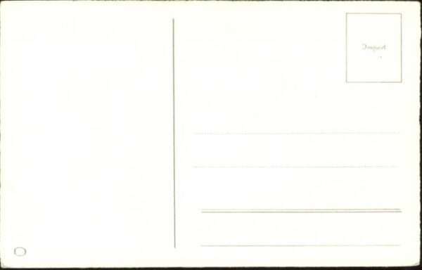 Hunde – Bild 2