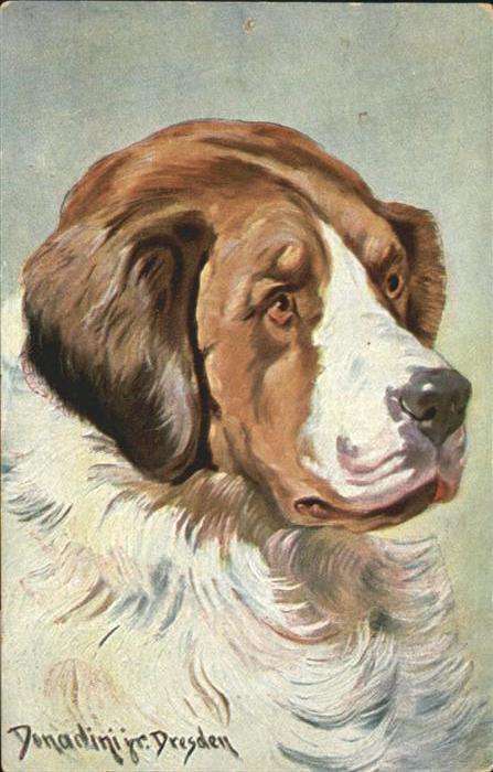 Hunde Künstler Donadini Jr. Dresden