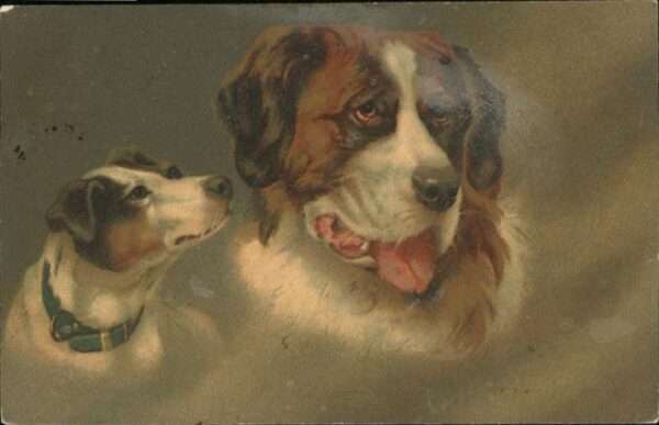 Hunde