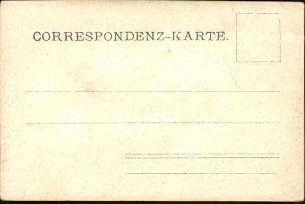 Jagd Hunde Jäger Gewehr – Bild 2