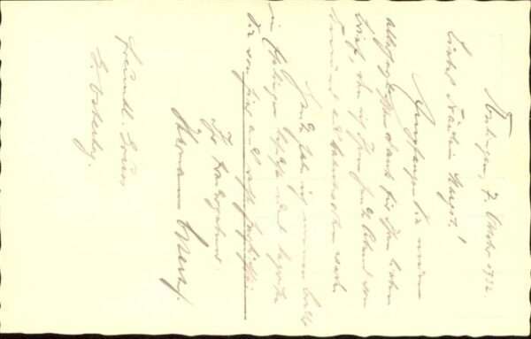 Hunde – Bild 2