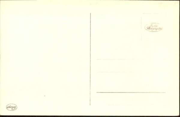 Hunde – Bild 2